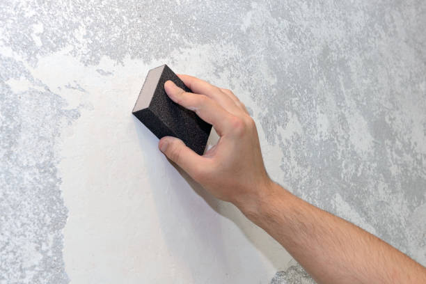  Manson, IA Mold Removal Pros