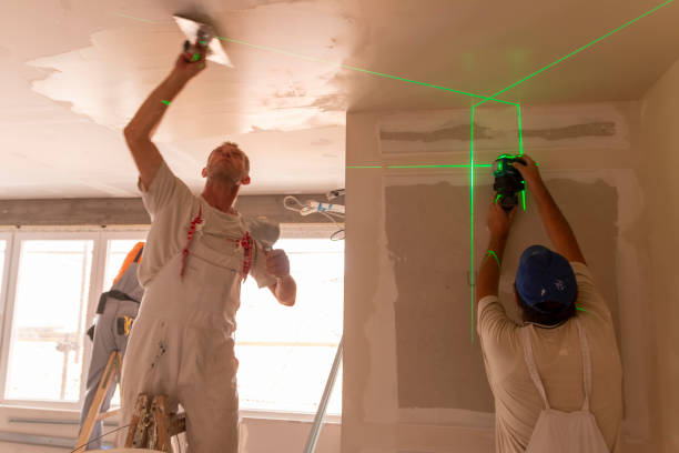 Best Mold Odor Removal Services  in Manson, IA