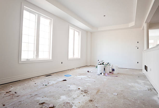 Best Black Mold Removal  in Manson, IA