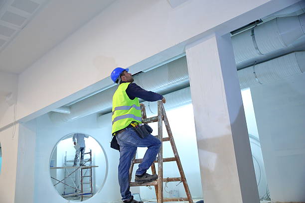 Best Crawl Space Mold Remediation  in Manson, IA
